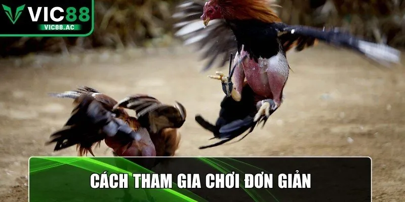 Cách tham gia chơi đơn giản
