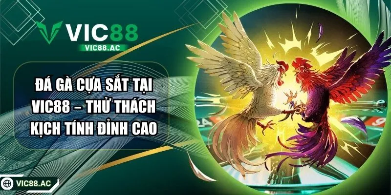Đá Gà Cựa Sắt Tại VIC88 – Thử Thách Kịch Tính Đỉnh Cao