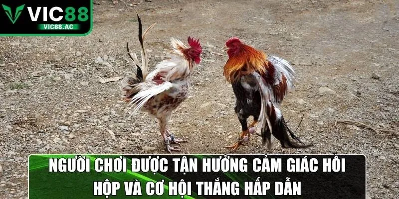 Người chơi được tận hưởng cảm giác hồi hộp và cơ hội thắng hấp dẫn