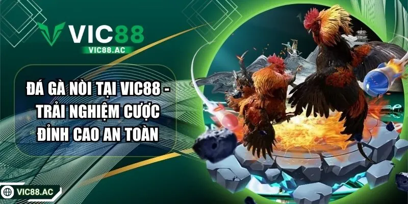 Đá Gà Nòi Tại Vic88 - Trải Nghiệm Cược Đỉnh Cao An Toàn