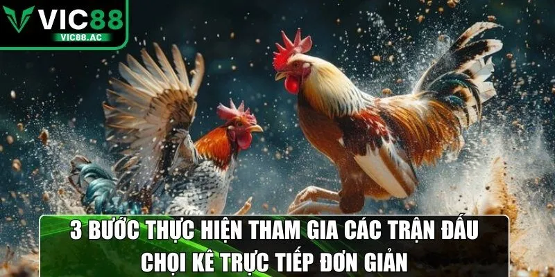 3 bước thực hiện tham gia các trận đấu chọi kê trực tiếp đơn giản