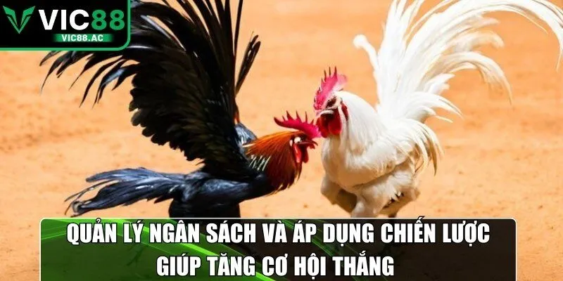 Quản lý ngân sách và áp dụng chiến lược giúp tăng cơ hội thắng 