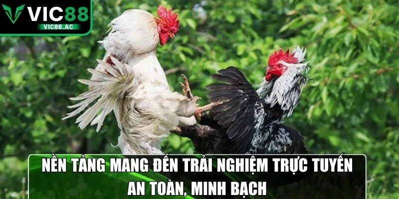 Nền tảng mang đến trải nghiệm trực tuyến an toàn, minh bạch