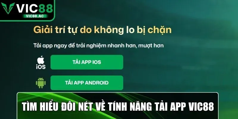 Tìm hiểu đôi nét về tính năng tải app VIC88